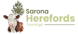 Sarona Herefords Logo